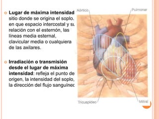  Lugar de máxima intensidad:
sitio donde se origina el soplo.,
en que espacio intercostal y su
relación con el esternón, las
líneas media esternal,
clavicular media o cualquiera
de las axilares.
 Irradiación o transmisión
desde el lugar de máxima
intensidad: refleja el punto de
origen, la intensidad del soplo,
la dirección del flujo sanguíneo.
 
