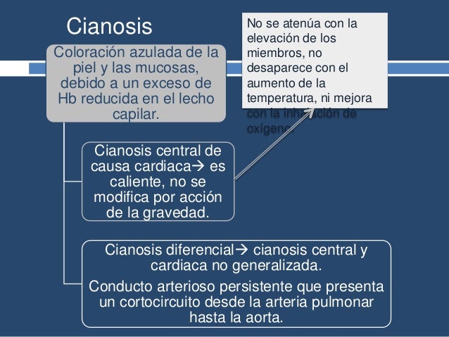 Las correcciones del miembro viril de la operación