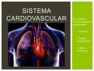 El sistema
Cardiovascular
comprende:
- - Corazón
- - Vasos
sanguíneos
- - Vasos
linfáticos
SISTEMA
CARDIOVASCULAR
 