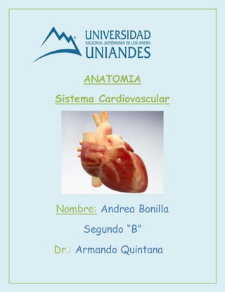 ANATOMIA
Sistema Cardiovascular
Nombre: Andrea Bonilla
Segundo “B”
Dr.: Armando Quintana
 