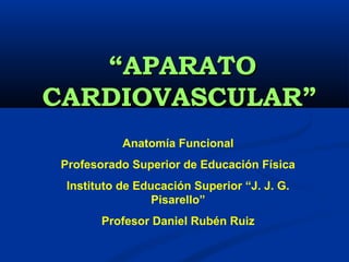 ““SISTEMASISTEMA
CARDIOVASCULAR”CARDIOVASCULAR”
Anatomía Funcional
Profesorado Superior de Educación Física
Instituto de Educación Superior “J. J. G.
Pisarello”
Profesor Daniel Rubén Ruiz
 