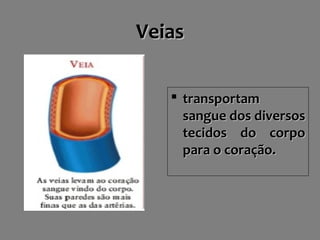 VeiasVeias
 transportamtransportam
sangue dos diversossangue dos diversos
tecidos do corpotecidos do corpo
para o coração.para o coração.
 