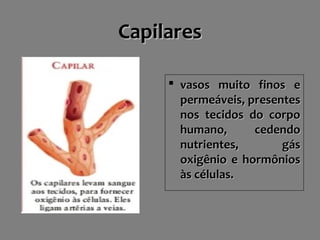 CapilaresCapilares
 vasos muito finos evasos muito finos e
permeáveis, presentespermeáveis, presentes
nos tecidos do corponos tecidos do corpo
humano, cedendohumano, cedendo
nutrientes, gásnutrientes, gás
oxigênio e hormôniosoxigênio e hormônios
às células.às células.
 