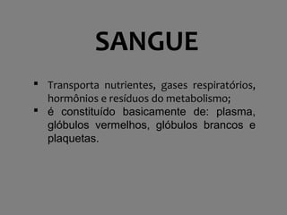 SANGUE
 Transporta nutrientes, gases respiratórios,
hormônios e resíduos do metabolismo;
 é constituído basicamente de: plasma,
glóbulos vermelhos, glóbulos brancos e
plaquetas.
 
