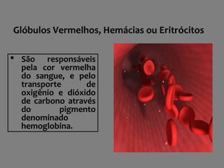Glóbulos Vermelhos, Hemácias ou Eritrócitos
 São responsáveis
pela cor vermelha
do sangue, e pelo
transporte de
oxigênio e dióxido
de carbono através
do pigmento
denominado
hemoglobina.
 