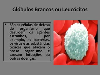Glóbulos Brancos ou Leucócitos
 São as células de defesa
do organismo que
destroem os agentes
estranhos, por
exemplo, as bactérias,
os vírus e as substâncias
tóxicas que atacam o
nosso organismo e
causam infecções ou
outras doenças.
 