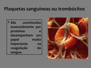 Plaquetas sanguíneas ou trombócitos
 São constituídas
essencialmente por
proteínas e
desempenham um
papel muito
importante na
coagulação do
sangue.
 