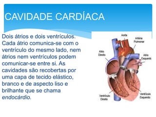 Dois átrios e dois ventrículos.
Cada átrio comunica-se com o
ventrículo do mesmo lado, nem
átrios nem ventrículos podem
comunicar-se entre si. As
cavidades são recobertas por
uma capa de tecido elástico,
branco e de aspecto liso e
brilhante que se chama
endocárdio.
CAVIDADE CARDÍACA
 