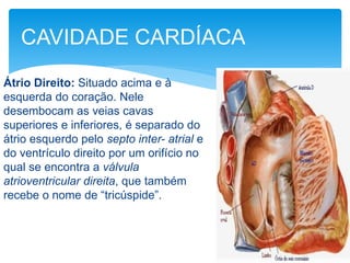 Átrio Direito: Situado acima e à
esquerda do coração. Nele
desembocam as veias cavas
superiores e inferiores, é separado do
átrio esquerdo pelo septo inter- atrial e
do ventrículo direito por um orifício no
qual se encontra a válvula
atrioventricular direita, que também
recebe o nome de “tricúspide”.
CAVIDADE CARDÍACA
 