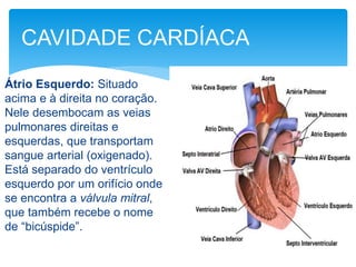 Átrio Esquerdo: Situado
acima e à direita no coração.
Nele desembocam as veias
pulmonares direitas e
esquerdas, que transportam
sangue arterial (oxigenado).
Está separado do ventrículo
esquerdo por um orifício onde
se encontra a válvula mitral,
que também recebe o nome
de “bicúspide”.
CAVIDADE CARDÍACA
 