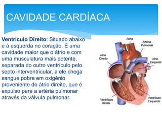 Ventrículo Direito: Situado abaixo
e à esquerda no coração. É uma
cavidade maior que o átrio e com
uma musculatura mais potente,
separada do outro ventrículo pelo
septo interventricular, a ele chega
sangue pobre em oxigênio
proveniente do átrio direito, que é
expulso para a artéria pulmonar
através da válvula pulmonar.
CAVIDADE CARDÍACA
 