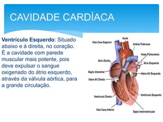 Ventrículo Esquerdo: Situado
abaixo e à direita, no coração.
É a cavidade com parede
muscular mais potente, pois
deve expulsar o sangue
oxigenado do átrio esquerdo,
através da válvula aórtica, para
a grande circulação.
CAVIDADE CARDÍACA
 