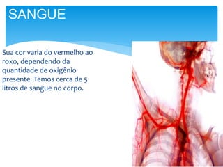 Sua cor varia do vermelho ao
roxo, dependendo da
quantidade de oxigênio
presente. Temos cerca de 5
litros de sangue no corpo.
SANGUE
 