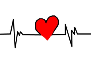 Sistema Cardiovascular