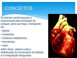 O sistema cardiovascular e
responsável pela condução do
sangue, para que haja o transporte
de:
• gases;
• nutrientes;
• resíduos metabólicos;
• hormônios;
• calor.
Além disso, cabem a ele a
distribuição do mecanismo de defesa
e a coagulação sanguínea.
CONCEITOS
 