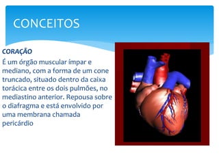 CORAÇÃO
É um órgão muscular ímpar e
mediano, com a forma de um cone
truncado, situado dentro da caixa
torácica entre os dois pulmões, no
mediastino anterior. Repousa sobre
o diafragma e está envolvido por
uma membrana chamada
pericárdio
CONCEITOS
 