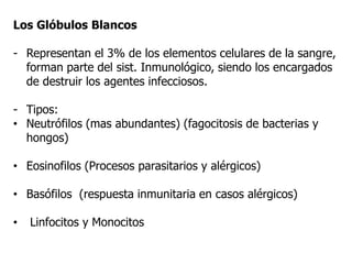 Los Glóbulos Blancos
- Representan el 3% de los elementos celulares de la sangre,
forman parte del sist. Inmunológico, siendo los encargados
de destruir los agentes infecciosos.
- Tipos:
• Neutrófilos (mas abundantes) (fagocitosis de bacterias y
hongos)
• Eosinofilos (Procesos parasitarios y alérgicos)
• Basófilos (respuesta inmunitaria en casos alérgicos)
• Linfocitos y Monocitos
 