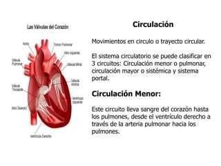 Circulación
Movimientos en circulo o trayecto circular.
El sistema circulatorio se puede clasificar en
3 circuitos: Circulación menor o pulmonar,
circulación mayor o sistémica y sistema
portal.
Circulación Menor:
Este circuito lleva sangre del corazón hasta
los pulmones, desde el ventrículo derecho a
través de la arteria pulmonar hacia los
pulmones.
 