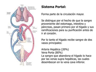 Sistema Portal:
Forma parte de la circulación mayor.
Se distingue por el hecho de que la sangre
proveniente del estomago, intestino y
páncreas, pasan primero por el hígado y sus
ramificaciones para su purificación antes de
ir al corazón.
Por lo tanto el hígado recibe sangre de dos
vasos principales:
Arteria Hepática (20%)
Vena Porta (80%)
La sangre que abandona el hígado lo hace
por las venas supra hepáticas, las cuales
desembocan en la vena cava inferior.
 