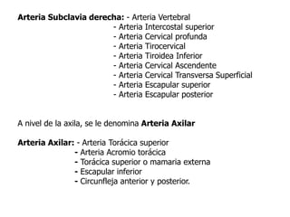 Arteria Subclavia derecha: - Arteria Vertebral
- Arteria Intercostal superior
- Arteria Cervical profunda
- Arteria Tirocervical
- Arteria Tiroidea Inferior
- Arteria Cervical Ascendente
- Arteria Cervical Transversa Superficial
- Arteria Escapular superior
- Arteria Escapular posterior
A nivel de la axila, se le denomina Arteria Axilar
Arteria Axilar: - Arteria Torácica superior
- Arteria Acromio torácica
- Torácica superior o mamaria externa
- Escapular inferior
- Circunfleja anterior y posterior.
 