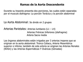 Ramas de la Aorta Descendente
Durante su trayecto presenta dos porciones, las cuales están separadas
por el musculo diafragma: La porción Torácica y la porción abdominal
La Aorta Abdominal: Se divide en 2 grupos
Arterias Parietales: Arterias lumbares (L1 – L4)
Arterias Frénicas Inferiores (diafragma)
Arteria Sacra media
Los órganos abdominales están irrigados por 3 arterias impares que se
originan en la aorta abdominal: Tronco Celiaco, Arteria Mesentérica
superior e inferior, también de esta arteria se originan las Arterias Renales
(Riñón) y las Arterias Espermáticas Y Ováricas (Gónadas)
 