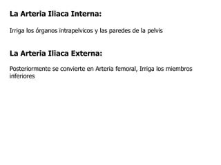 La Arteria Iliaca Interna:
Irriga los órganos intrapelvicos y las paredes de la pelvis
La Arteria Iliaca Externa:
Posteriormente se convierte en Arteria femoral, Irriga los miembros
inferiores
 