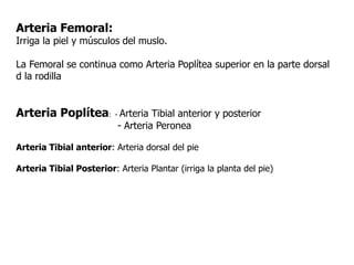 Arteria Femoral:
Irriga la piel y músculos del muslo.
La Femoral se continua como Arteria Poplítea superior en la parte dorsal
d la rodilla
Arteria Poplítea: - Arteria Tibial anterior y posterior
- Arteria Peronea
Arteria Tibial anterior: Arteria dorsal del pie
Arteria Tibial Posterior: Arteria Plantar (irriga la planta del pie)
 