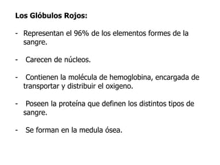 Los Glóbulos Rojos:
- Representan el 96% de los elementos formes de la
sangre.
- Carecen de núcleos.
- Contienen la molécula de hemoglobina, encargada de
transportar y distribuir el oxigeno.
- Poseen la proteína que definen los distintos tipos de
sangre.
- Se forman en la medula ósea.
 