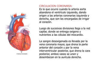 CIRCULACION CORONARIA:
Es la que ocurre cuando la arteria aorta
abandona el ventrículo izquierdo, dando
origen a las arterias coronarias izquierda y
derecha, que son las encargadas de irrigar
al corazón.
Luego de sucesivas divisiones llega a la red
capilar, donde se entrega oxigeno y
nutrientes a las células del miocardio.
La sangre desoxigenada es llevada por la
vena coronaria mayor, que drena la parte
anterior del corazón y por la vena
interventricular posterior, que drena la cara
posterior, ambos vasos se unen y
desembocan en la aurícula derecha.
 