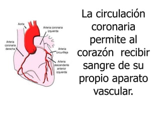 La circulación
coronaria
permite al
corazón recibir
sangre de su
propio aparato
vascular.
 