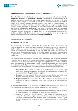 11
GENERALIDADES. CIRCULACIÓN GENERAL Y PULMONAR
En cada latido, el corazón bombea sangre a dos circuitos cerrados, la circulación
general o mayor y la pulmonar o menor. La sangre no oxigenada llega a la
aurícula derecha a través de las venas cavas superior e inferior, y el seno
coronario. Esta sangre no oxigenada es transferida al ventrículo derecho pasando a
través de la válvula tricúspide y posteriormente fluye hacia el tronco pulmonar, el
cual se divide en arteria pulmonar derecha e izquierda. La sangre no oxigenada se
oxigena en los pulmones y regresa a la aurícula izquierda a través de las venas
pulmonares (circulación pulmonar). La sangre oxigenada pasa al ventrículo
izquierdo donde se bombea a la aorta ascendente. A este nivel, la sangre fluye
hacia las arterias coronarias, el cayado aórtico, y la aorta descendente (porción
torácica y abdominal). Estos vasos y sus ramas transportan la sangre oxigenada
hacia todas las regiones del organismo (circulación general).
FISIOLOGÍA DEL CORAZÓN
POTENCIAL DE ACCIÓN
Funcionalmente el corazón consta de dos tipos de fibras musculares: las
contráctiles y las de conducción. Las fibras contráctiles comprenden la mayor parte
de los tejidos auricular y ventricular y son las células de trabajo del corazón. Las
fibras de conducción representan el 1% del total de fibras del miocardio y
constituyen el sistema de conducción. Su función no es la contracción muscular sino
la generación y propagación rápida de los potenciales de acción sobre todo el
miocardio.
Las contracciones del músculo cardiaco están generadas por estímulos eléctricos
regulares que se generan de forma automática en el nódulo sinusal. La llegada de
un impulso a una fibra miocárdica normal genera un potencial de acción (cambios
en la permeabilidad de la membrana celular a determinados iones), el cual ocasiona
la contracción de la fibra muscular del miocardio. El potencial de acción de las
fibras miocárdicas contráctiles auriculares y ventriculares comprende tres fases:
1. Despolarización: cuando la excitación de las fibras del nódulo sinusal llega
a las fibras auriculares ocasiona la abertura rápida de canales de sodio, con
lo que se inicia la despolarización rápida.
1. Meseta: en una segunda fase, se abren canales lentos de calcio que
facilitan la entrada de iones calcio al interior de la fibra miocárdica.
2. Repolarización: la recuperación del potencial de membrana en reposo es
debida a la abertura de canales de potasio y al cierre de los canales de
calcio.
El potencial de acción de las fibras del nódulo sinusal tiene algunas diferencias
con respecto al resto de fibras miocárdicas auriculares y ventriculares:
1. El potencial de de membrana de reposo es menos negativo que en el resto
de fibras cardíacas (-55 mV) y por lo tanto son más excitables.
2. Durante el estado de reposo, debido a una mayor permeabilidad al ión
sodio, el potencial de reposo se va haciendo cada vez menos negativo
(potencial de reposo inestable. Cuando llega a un valor de - 40 mV (valor
umbral) se activan los canales de calcio y se desencadena un potencial de
acción.
 