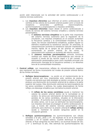 17
acción está relacionada con la actividad del centro cardiovascular y el
sistema nervioso autónomo.
c. Los impulsos aferentes que informan al centro cardiovascular de
cambios en los valores de la presión arterial pueden venir a través de
receptores sensoriales periféricos (barorreceptores,
quimiorreceptores y propioceptores) o impulsos cerebrales.
d. Los impulsos eferentes viajan desde el centro cardiovascular a
través de nervios del sistema nervioso simpático y sistema nervioso
parasimpático.
i. El sistema nervioso simpático es la parte más importante
del sistema nervioso autónomo para la regulación de la
circulación. Los impulsos simpáticos en el corazón aumentan
la frecuencia cardiaca y la contractilidad miocárdica. En los
vasos, los nervios vasomotores simpáticos, pueden regular su
diámetro modificando la resistencia vascular. En arteriolas, la
vasoconstricción aumenta la resistencia vascular impidiendo la
marcha rápida de la sangre de las arterias en adelante,
aumentando la presión arterial. En las venas, la
vasoconstricción ocasiona un aumento del retorno venoso.
ii. El sistema nervioso parasimpático controla funciones
cardiaca por medio de fibras parasimpáticas que inervan el
corazón a través de los nervios vagos o X par craneal. La
estimulación parasimpática tiene como resultado principal una
disminución marcada de la frecuencia cardiaca y un descenso
leve de la contractilidad miocárdica.
2. Control reflejo: son mecanismos reflejos de retroalimentación negativa
que mantienen de forma inconsciente los niveles de presión arterial dentro
de los límites normales.
a. Reflejos barorreceptores : su acción en el mantenimiento de la
presión arterial son muy importantes ante cambios de postura.
Cuando una persona que está acostada se sienta o se pone de pie, se
produce una disminución de la presión arterial de la cabeza y la parte
superior del cuerpo. Esta disminución estimula los barorreceptores de
los senos carotídeos y aórticos, los cuales desencadenan de forma
refleja una descarga simpática que normaliza la presión arterial.
i. El reflejo de los senos carotídeos ayuda a mantener los
valores de presión arterial dentro de la normalidad en el
cerebro. Se activa por estimulación de barorreceptores de las
paredes de los senos carotídeos, situados en la bifurcación
carotídea . El aumento de la presión sanguínea estira la pared
de estos senos, con lo que se estimulan los barorreceptores.
Los impulsos nerviosos se propagan al centro cardiovascular el
cual, a través del sistema nervioso parasimpático envia
estímulos para disminuir la presión arterial.El reflejo aórtico
ayuda a mantener la presión sanguínea global en la
circulación general.
b. Reflejos quimiorreceptores: los quimiorreceptores son células
sensibles a la pO2, pCO2 y H+
. Se localizan en la en la bifurcación
carotídea y en el cayado aórtico. Cuando disminuye la presión
arterial, el flujo sanguíneo es más lento y se acumula exceso de CO2
y H+
y disminuye la pO2. Ello estimula los quimiorreceptores los
 