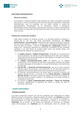 5
ANATOMÍA MICROSCÓPICA
Músculo cardíaco
El miocardio o músculo cardíaco está formado por fibras musculares estriadas
más cortas y menos circulares que las fibras del músculo esquelético. Presentan
ramificaciones, que se conectan con las fibras vecinas a través de
engrosamientos transversales de la membrana celular o sarcolema,
denominados discos intercalares. Estos discos contienen uniones intercelulares
que permiten la conducción de potenciales de acción de una fibra muscular a las
otras vecinas.
Sistema de conducción cardíaco
Cada latido cardíaco se produce gracias a la actividad eléctrica inherente y
rítmica de un 1% de las fibras musculares miocárdicas, las fibras
autorrítmicas o de conducción. Estas fibras son capaces de generar impulsos
de una forma repetida y rítmica, y actúan como marcapasos estableciendo el
ritmo de todo el corazón, y forman el sistema de conducción cardíaco. El
sistema de conducción garantiza la contracción coordinada de las cavidades
cardíacas y de esta forma el corazón actúa como una bomba eficaz. Los
componentes del sistema de conducción son:
1. El nódulo sinusal o nódulo sinoauricular, localizado en la pared de la
aurícula derecha, por debajo de desembocadura de la vena cava superior.
Cada potencial de acción generado en este nódulo se propaga a las fibras
miocárdicas de las aurículas.
2. El nódulo auriculoventricular (AV) se localiza en el tabique
interauricular. Los impulsos de las fibras musculares cardíacas de ambas
aurículas convergen en el nódulo AV, el cual los distribuye a los ventrículos
a través del
3. haz de His o fascículo auriculoventricular, que es la única conexión
eléctrica entre las aurículas y los ventrículos. En el resto del corazón el
esqueleto fibroso aísla eléctricamente las aurículas de los ventrículos.
4. El fascículo aurículoventricular se dirige hacia la porción muscular del
tabique interventricular y se divide en sus ramas derecha e izquierda
del haz de His, las cuales a través del tabique interventricular siguen en
dirección hacia el vértice cardíaco y se distribuyen a lo largo de toda la
musculatura ventricular.
5. Por último, el plexo subendocárdico terminal o fibras de Purkinje
conducen rápidamente el potencial de acción a través de todo el
miocardio ventricular.
VASOS SANGUÍNEOS
GENERALIDADES
Los vasos sanguíneos forman una red de conductos que transportan la sangre
desde el corazón a los tejidos y desde los tejidos al corazón. Las arterias son vasos
que distribuyen la sangre del corazón a los tejidos. Las arterias se ramifican y
progresivamente en cada ramificación disminuye su calibre y se forman las
arteriolas. En el interior de los tejidos las arteriolas se ramifican en múltiples
vasos microscópicos, los capilares que se distribuyen entre las células. Los
 