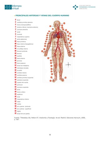8
PRINCIPALES ARTERIAS Y VENAS DEL CUERPO HUMANO
1 facial
2 carótida primitiva derecha
3 tronco branquiocefálico
4 torácica inferior (mamaria externa)
5 coronaria derecha
6 axilar
7 humeral
8 mesentérica superior
9 aorta abdominal
10 llíaca primitiva
11 llíaca interna (hipogástrica)
12 llíaca externa
13 circunfleja interna
14 femoral profunda
15 femoral
16 poplítea
17 tibial anterior
18 peronea
19 tibial posterior
20 dorsal de metatarso
21 interóseas dorsales
22 occipital
23 carótida interna
24 carótida externa
25 carótida primitiva izquierda
26 subclavia izquierda
27 cayado de la aorta
28 pulmonar
29 coronaria izquierda
30 aorta
31 tronco celíaco
32 esplénica
33 renal
34 mesentérica inferior
35 radial
36 cubital
37 arco palmar: profundo
38 arco palmar: superficial
39 digital
40 dorsal del pie (pedia)
Fuente: Thibodeau GA, Patton KT. Anatomía y Fisiología. 4a ed. Madrid: Ediciones Harcourt; 2000,
p. 567
 