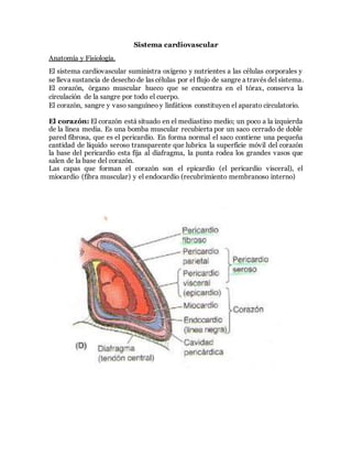 Sistema cardiovascular
Anatomía y Fisiología.
El sistema cardiovascular suministra oxígeno y nutrientes a las células corporales y
se lleva sustancia de desecho de las células por el flujo de sangre a través del sistema.
El corazón, órgano muscular hueco que se encuentra en el tórax, conserva la
circulación de la sangre por todo el cuerpo.
El corazón, sangre y vaso sanguíneo y linfáticos constituyen el aparato circulatorio.
El corazón: El corazón está situado en el mediastino medio; un poco a la izquierda
de la línea media. Es una bomba muscular recubierta por un saco cerrado de doble
pared fibrosa, que es el pericardio. En forma normal el saco contiene una pequeña
cantidad de líquido seroso transparente que lubrica la superficie móvil del corazón
la base del pericardio esta fija al diafragma, la punta rodea los grandes vasos que
salen de la base del corazón.
Las capas que forman el corazón son el epicardio (el pericardio visceral), el
miocardio (fibra muscular) y el endocardio (recubrimiento membranoso interno)
 