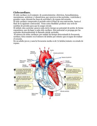 Ciclo cardiaco.
El ciclo cardiaco es el conjunto de acontecimientos eléctricos, hemodinámicas,
mecanismos, acústicos y volumétricos que ocurren en las aurículas, ventrículos y
grandes vasos, durante las fases de actividad y de reposo del corazón.
El ciclo cardiaco comprende el período entre el final de una contracción, hasta el
final de la siguiente contracción. Tiene como finalidad producir una serie de
cambios de presión para que la sangre circule.
El nódulo sino-auricular genera cada cierto tiempo un potencial de acción de forma
espontánea, que da lugar a cada ciclo cardiaco. Este potencial se propaga por las
aurículas desencadenando la llamada sístole auricular.
El número de ciclos cardiacos por unidad de tiempo determinada la frecuencia
cardiaca. Esta consiste en el número de latidos por minuto que es capaz de realizar
el corazón.
En un adulto joven y sano la frecuencia media es de 70 latidos/minuto en estado de
reposo.
 