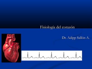 Fisiología del corazónFisiología del corazón
Dr. Adipp Sallón A.Dr. Adipp Sallón A.
 