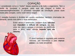 CORAÇÃO
É considerado como o “motor” desse sistema e de todo o organismo. Tem a
arefa de bombear o sangue, para que ele chegue a todos os
sistemas/órgãos/tecidos. O processo completo da circulação passa duas
vezes pelo coração, como você verá a seguir.
O coração humano é dividido em quatro cavidades, também chamadas de
câmaras, sendo dois átrios e dois ventrículos.
Entre átrios e ventrículos, existem duas válvulas
que impedem o refluxo do sangue, ou seja,
uma vez que o sangue é enviado do ventrículo
para o átrio, essa válvula impede que ele
retorne.
O ritmo cardíaco é regulado pelo sistema
nervoso, por hormônios e pelo marca-
passo ( ou nodo sinoatrial).
 