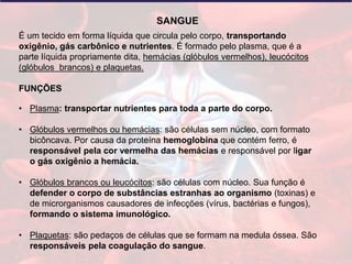É um tecido em forma líquida que circula pelo corpo, transportando
oxigênio, gás carbônico e nutrientes. É formado pelo plasma, que é a
parte líquida propriamente dita, hemácias (glóbulos vermelhos), leucócitos
(glóbulos brancos) e plaquetas.
FUNÇÕES
• Plasma: transportar nutrientes para toda a parte do corpo.
• Glóbulos vermelhos ou hemácias: são células sem núcleo, com formato
bicôncava. Por causa da proteína hemoglobina que contém ferro, é
responsável pela cor vermelha das hemácias e responsável por ligar
o gás oxigênio a hemácia.
• Glóbulos brancos ou leucócitos: são células com núcleo. Sua função é
defender o corpo de substâncias estranhas ao organismo (toxinas) e
de microrganismos causadores de infecções (vírus, bactérias e fungos),
formando o sistema imunológico.
• Plaquetas: são pedaços de células que se formam na medula óssea. São
responsáveis pela coagulação do sangue.
SANGUE
 