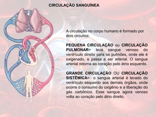 CIRCULAÇÃO SANGUÍNEA
A circulação no corpo humano é formado por
dois circuitos:
PEQUENA CIRCULAÇÃO ou CIRCULAÇÂO
PULMONAR= leva sangue venoso do
ventrículo direito para os pulmões, onde ele é
oxigenado, e passa a ser arterial. O sangue
arterial retorna ao coração pelo átrio esquerdo.
GRANDE CIRCULAÇÃO OU CIRCULAÇÃO
SISTÊMICA= o sangue arterial é levado do
ventrículo esquerdo aos demais órgãos, onde
ocorre o consumo do oxigênio e a liberação do
gás carbônico. Esse sangue agora venoso
volta ao coração pelo átrio direito.
 