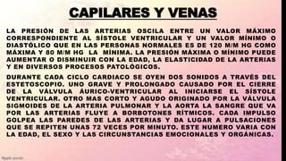 CAPILARES Y VENAS
LA PRESIÓN DE LAS ARTERIAS OSCILA ENTRE UN VALOR MÁXIMO
CORRESPONDIENTE AL SÍSTOLE VENTRICULAR Y UN VALOR MÍNIMO O
DIASTÓLICO QUE EN LAS PERSONAS NORMALES ES DE 120 M/M HG COMO
MÁXIMA Y 80 M/M HG LA MÍNIMA. LA PRESIÓN MÁXIMA O MÍNIMO PUEDE
AUMENTAR O DISMINUIR CON LA EDAD, LA ELASTICIDAD DE LA ARTERIAS
Y EN DIVERSOS PROCESOS PATOLÓGICOS.
DURANTE CADA CICLO CARDIACO SE OYEN DOS SONIDOS A TRAVÉS DEL
ESTETOSCOPIO. UNO GRAVE Y PROLONGADO CAUSADO POR EL CIERRE
DE LA VÁLVULA ÁURICO-VENTRICULAR AL INICIARSE EL SÍSTOLE
VENTRICULAR. OTRO MAS CORTO Y AGUDO ORIGINADO POR LA VÁLVULA
SIGMOIDES DE LA ARTERIA PULMONAR Y LA AORTA LA SANGRE QUE VA
POR LAS ARTERIAS FLUYE A BORBOTONES RÍTMICOS. CADA IMPULSO
GOLPEA LAS PAREDES DE LAS ARTERIAS Y DA LUGAR A PULSACIONES
QUE SE REPITEN UNAS 72 VECES POR MINUTO. ESTE NUMERO VARIA CON
LA EDAD, EL SEXO Y LAS CIRCUNSTANCIAS EMOCIONALES Y ORGÁNICAS.
 