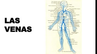 LAS
VENAS
 