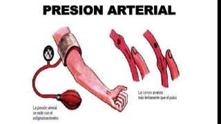 PRESION ARTERIAL
 