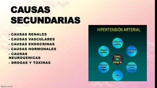 CAUSAS
SECUNDARIAS
- CAUSAS RENALES
- CAUSAS VASCULARES
- CAUSAS ENDOCRINAS
- CAUSAS HORMONALES
- CAUSAS
NEUROGENICAS
- DROGAS Y TOXINAS
 