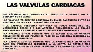 LAS VALVULAS CARDIACAS
LAS VÁLVULAS QUE CONTROLAN EL FLUJO DE LA SANGRE POR EL
CORAZÓN SON CUATRO:
• LA VÁLVULA TRICÚSPIDE CONTROLA EL FLUJO SANGUÍNEO ENTRE LA
AURÍCULA DERECHA Y EL VENTRÍCULO DERECHO.
• LA VÁLVULA PULMONAR CONTROLA EL FLUJO SANGUÍNEO DEL
VENTRÍCULO DERECHO A LAS ARTERIAS PULMONARES, LAS CUALES
TRANSPORTAN LA SANGRE A LOS PULMONES PARA OXIGENARLA.
• LA VÁLVULA MITRAL PERMITE QUE LA SANGRE RICA EN OXÍGENO
PROVENIENTE DE LOS PULMONES PASE DE LA AURÍCULA IZQUIERDA AL
VENTRÍCULO IZQUIERDO.
• LA VÁLVULA AÓRTICA PERMITE QUE LA SANGRE RICA EN OXÍGENO
PASE DEL VENTRÍCULO IZQUIERDO A LA AORTA, LA ARTERIA MÁS
GRANDE DEL CUERPO, LA CUAL TRANSPORTA LA SANGRE AL RESTO DEL
ORGANISMO.
 