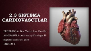 2.3 SISTEMA
CARDIOVASCULAR
PROFESORA: Dra. Yaritzi Ríos Carrillo
ASIGNATURA: Anatomía y Fisiología II
Segundo semestre, 2030
EQUIPO 4
 