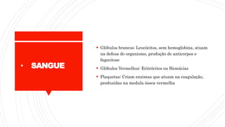  Glóbulos brancos: Leucócitos, sem hemoglobina, atuam
na defesa do organismo, produção de anticorpos e
fagocitose
 Glóbulos Vermelhos: Eritrócitos ou Hemácias
 Plaquetas: Criam enzimas que atuam na coagulação,
produzidas na medula óssea vermelha
• SANGUE
 