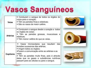 Veias
 Conduzem o sangue de todos os órgãos do
corpo para o coração;
 Têm as paredes finas e elásticas;
 São os vasos de maior calibre.
Artérias
 Conduzem o sangue desde o coração a todos
os órgãos do corpo;
 Têm as paredes grossas, musculosas e
elásticas;
 Têm menor calibre do que as veias.
Capilares
 Vasos microscópios que resultam das
divisões sucessivas das artérias;
 Irrigam todos os órgãos;
Fazem a comunicação entre as artérias e as
veias;
 Têm as paredes muito finas, pois é através
delas que os gases e substâncias nutritivas
passam para as células ou para o sangue.
 