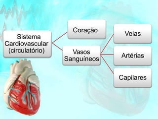 Sistema
Cardiovascular
(circulatório)
Coração
Vasos
Sanguíneos
Veias
Artérias
Capilares
 