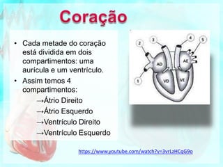 • Cada metade do coração
está dividida em dois
compartimentos: uma
aurícula e um ventrículo.
• Assim temos 4
compartimentos:
→Átrio Direito
→Átrio Esquerdo
→Ventrículo Direito
→Ventrículo Esquerdo
https://www.youtube.com/watch?v=3vrLzHCqG9o
 